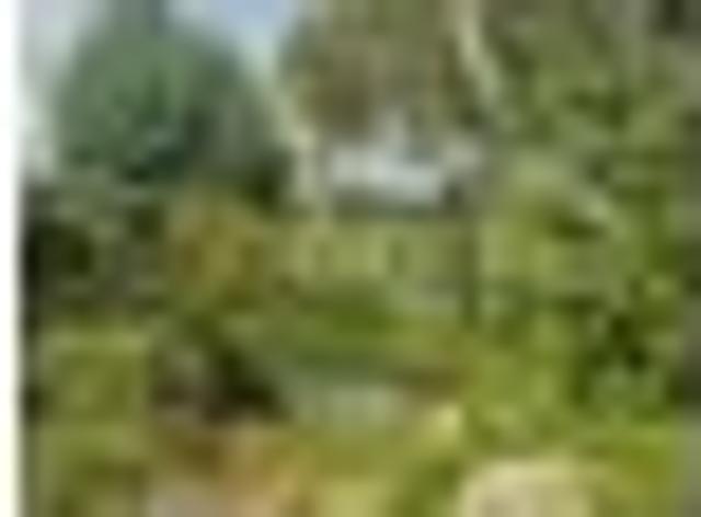 House for rent in Kariotahi, Waikato