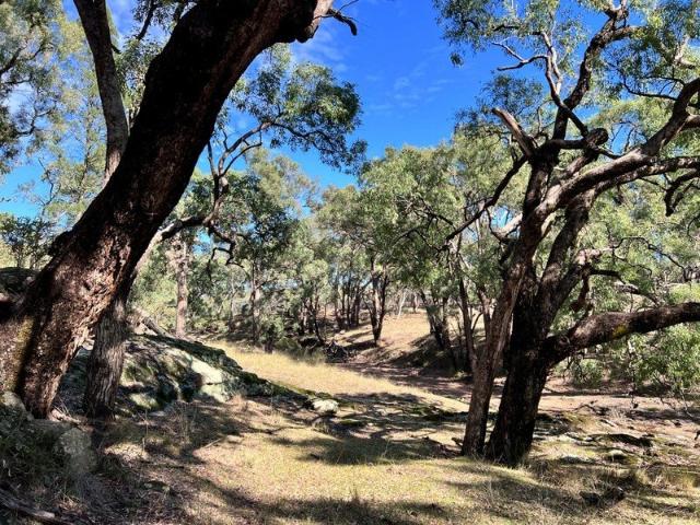 Land for sale in Coonabarabran, New South Wales