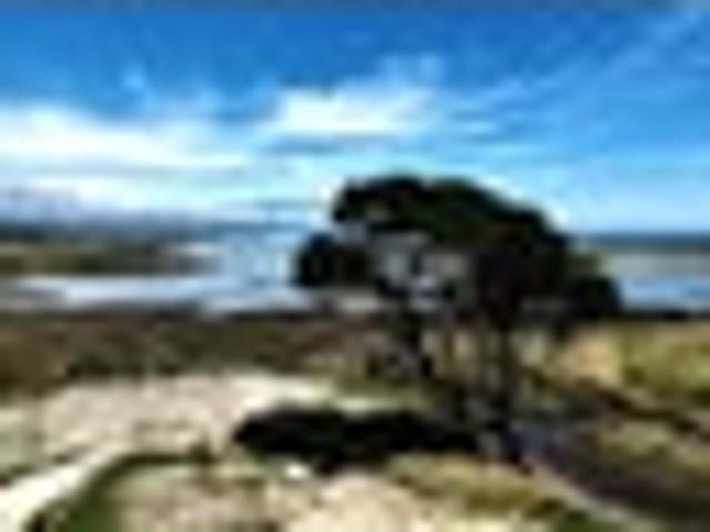 Land for sale in West Coast