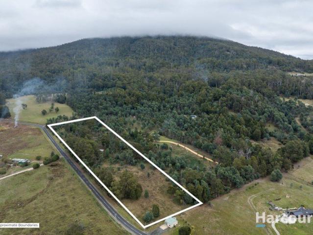 Land for sale in Golden Valley, Tasmania