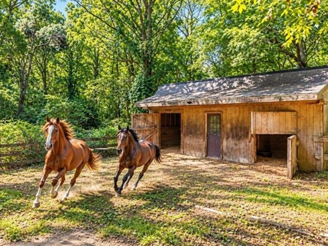 House for sale in Marstons Mills, Barnstable