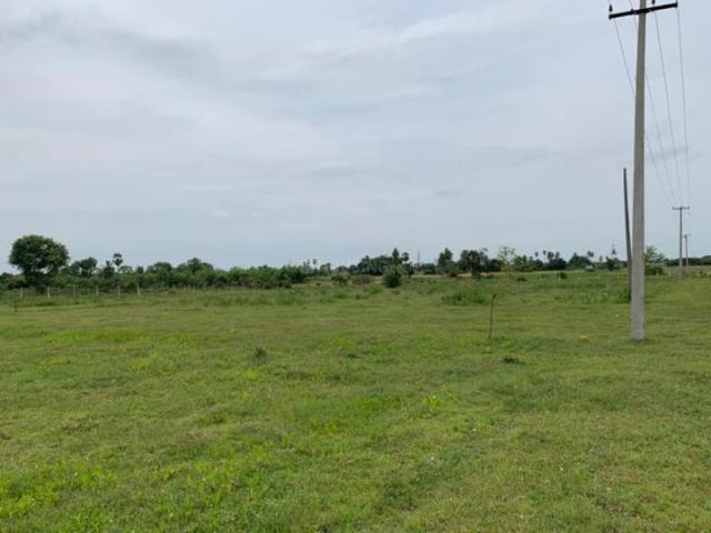 Land for sale in Walajabad, Tamil Nadu