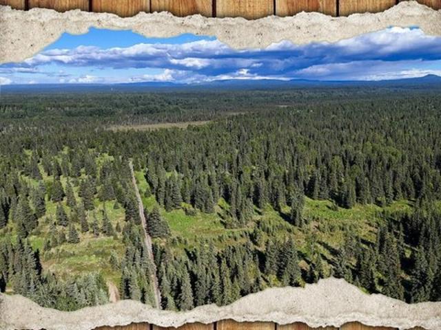 Land for sale in Ninilchik