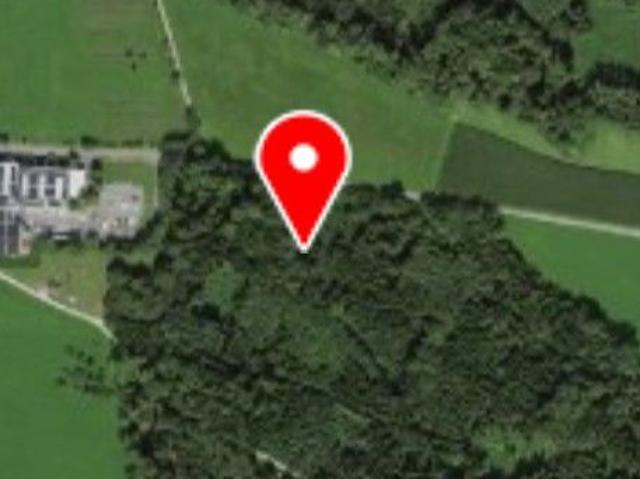 Immobilie kaufen in Weingarten, Bussnang