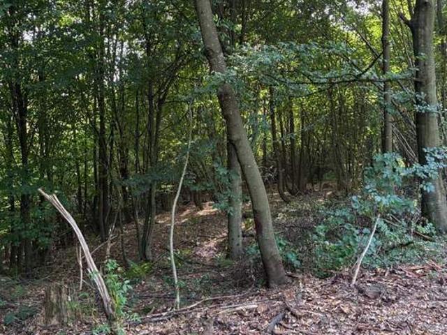 Gewerbe kaufen in Katastralgemeinde Graz Stadt-Weinitzen, Graz