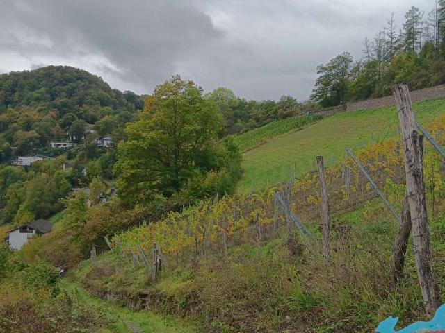 Erdgeschosswohnung kaufen in Obernhof, Rhein-Lahn-Kreis