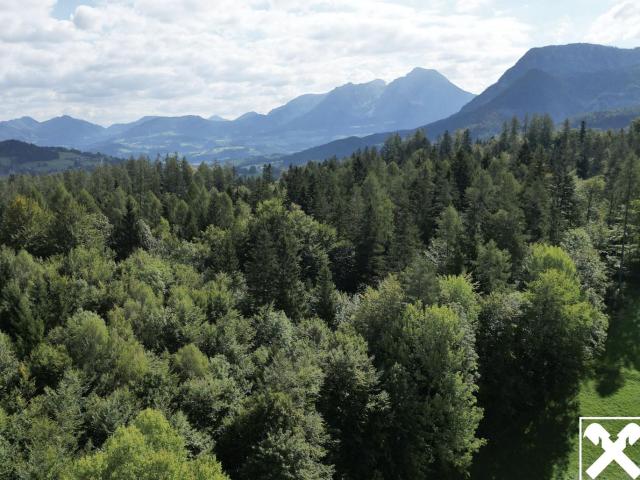 Grundstück kaufen in Vorderstoder, Oberösterreich