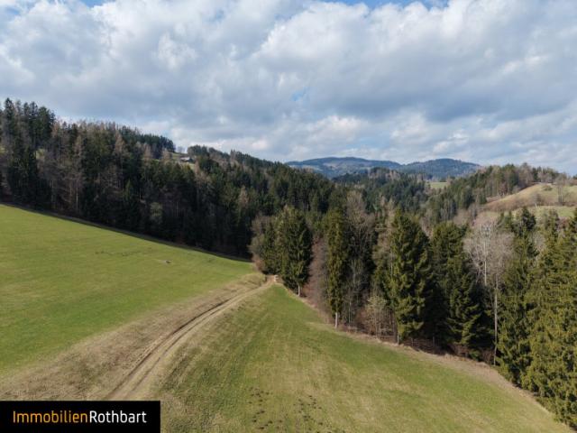 Immobilie kaufen in Birkfeld, Steiermark