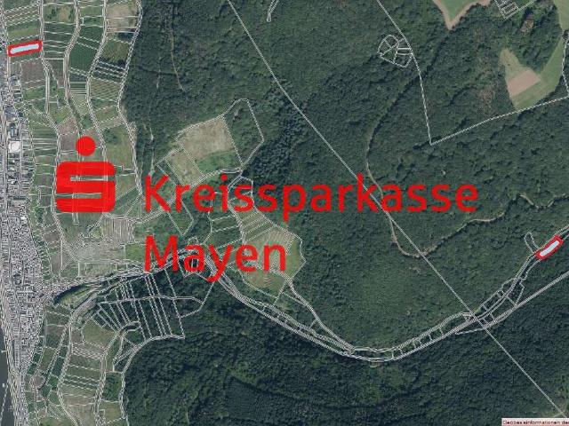 Erdgeschosswohnung kaufen in Zell, Zell am Harmersbach