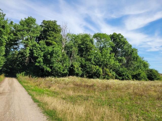 Gewerbe kaufen in Schwedt, Brandenburg