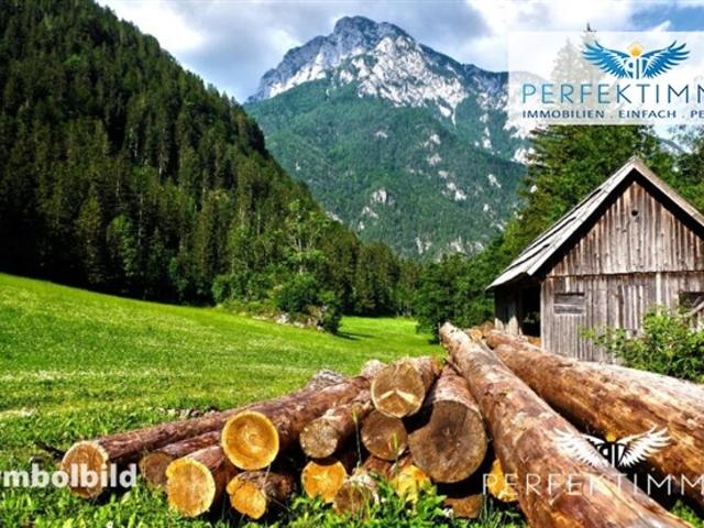 Immobilie kaufen in Arzl, Tirol