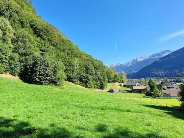 Grundstück kaufen in Gortipohl, St. Gallenkirch