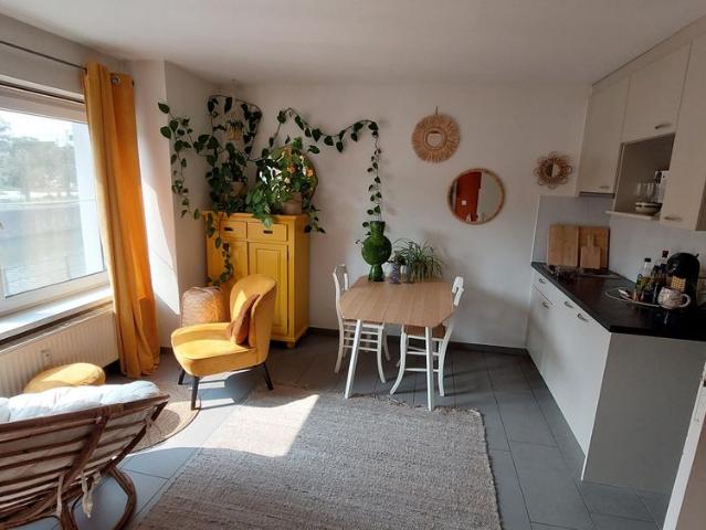 Kot location à Desteldonk, Oost-Vlaanderen