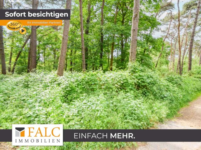 Haus kaufen in Born, Nordrhein-Westfalen
