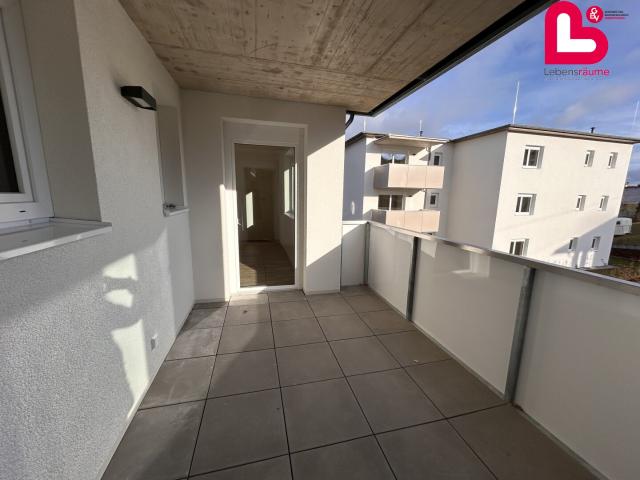 Apartment mieten in Harruck, Waldburg