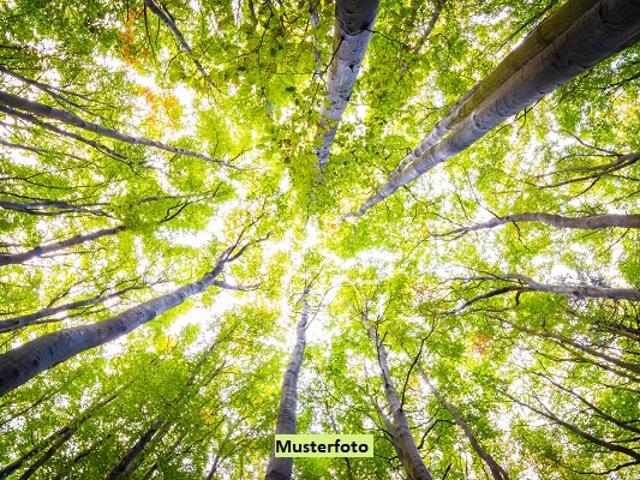 Erdgeschosswohnung kaufen in Aachen, Nordrhein-Westfalen