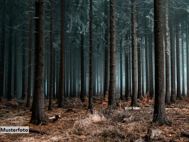 Grundstück kaufen in Burgenland