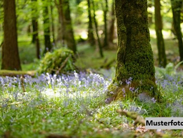 Grundstück kaufen in Lavamünd, Kärnten