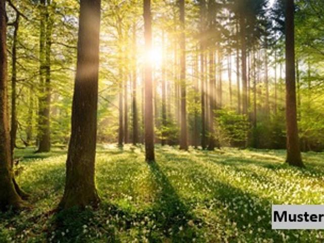 Grundstück kaufen in Lavamünd, Kärnten