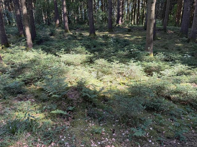 Erdgeschosswohnung kaufen in Schwabsoien, Landkreis Weilheim-Schongau