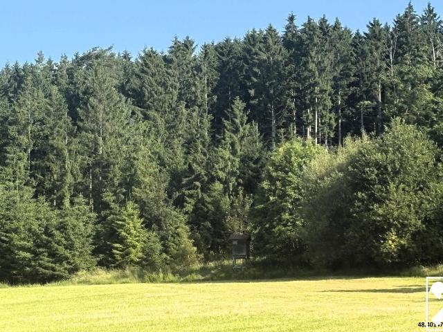 Grundstück kaufen in Neumarkt im Mühlkreis, Oberösterreich