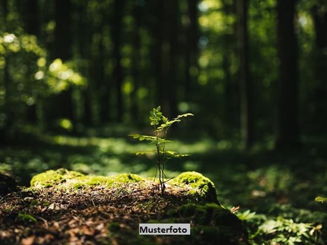 Erdgeschosswohnung kaufen in Escheburg, Schleswig-Holstein