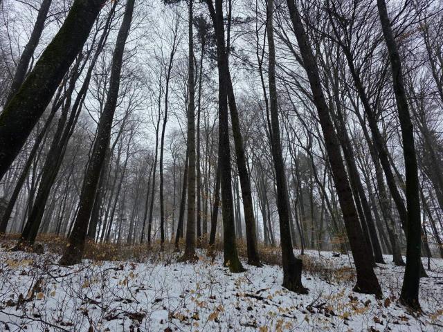 Gewerbe kaufen in Jennersdorf, Burgenland
