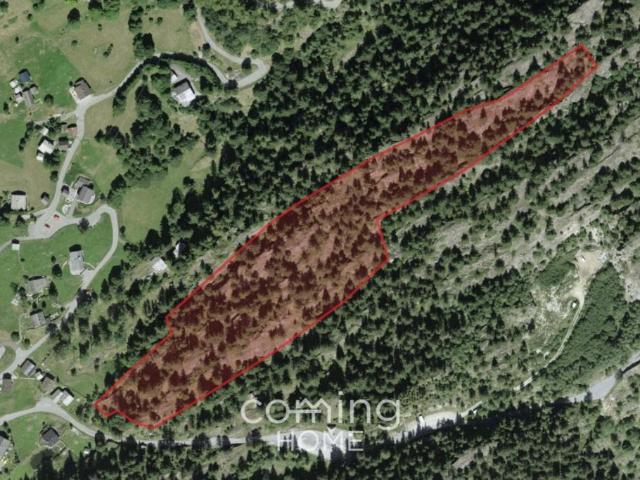 Grundstück kaufen in Blatten bei Naters, Wallis
