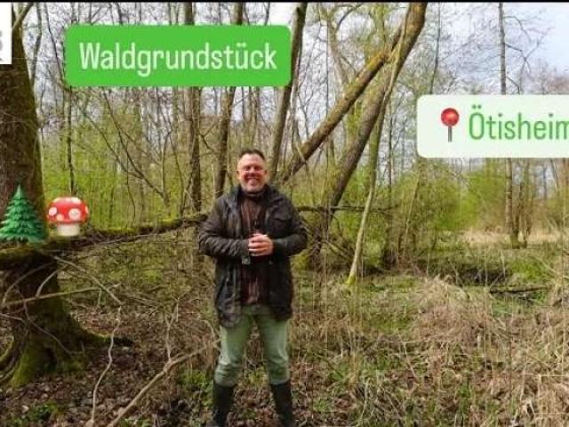 Erdgeschosswohnung kaufen in Ötisheim, Baden-Württemberg