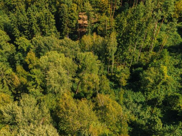 Landwirtschaft kaufen in Kumberg, Steiermark