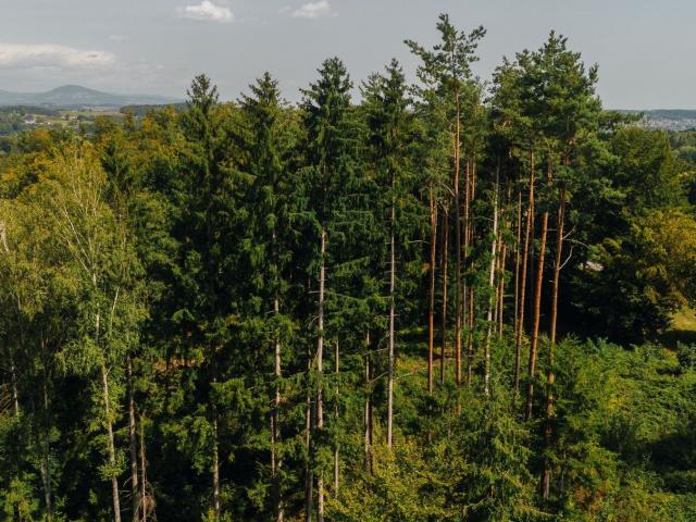 Landwirtschaft kaufen in Kumberg, Steiermark