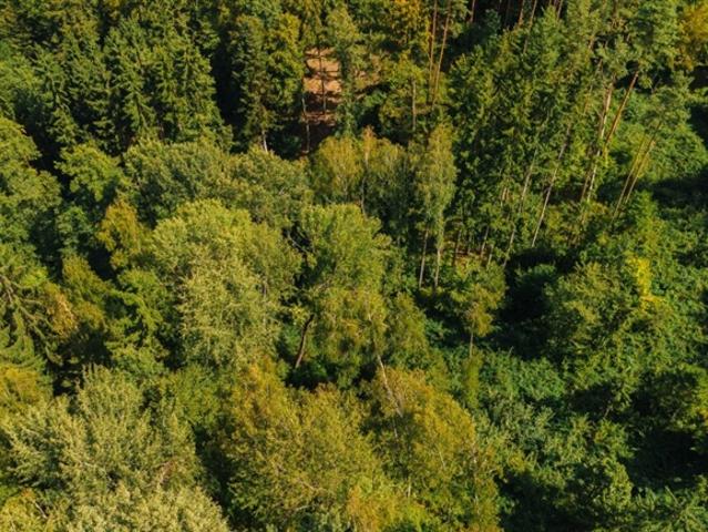 Landwirtschaft kaufen in Albersdorf-Prebuch, Steiermark