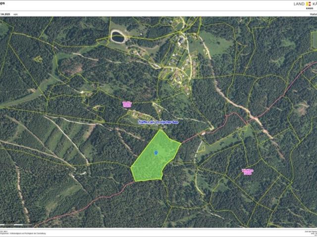 Landwirtschaft kaufen in Afritz am See, Kärnten