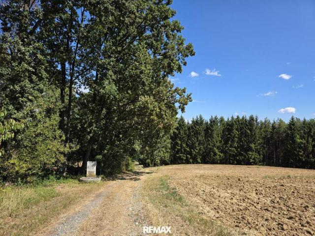Gewerbe kaufen in Jennersdorf, Burgenland