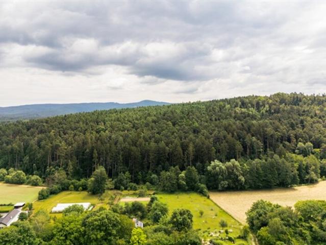 Landwirtschaft kaufen in Hochwolkersdorf, Niederösterreich