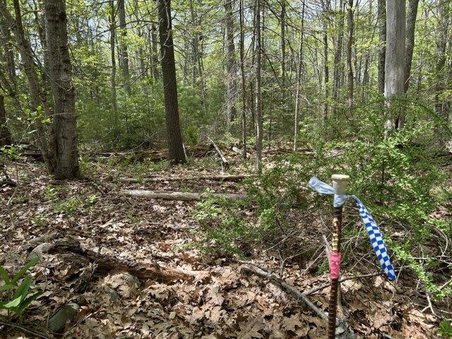Land for sale in Waldoboro, Maine
