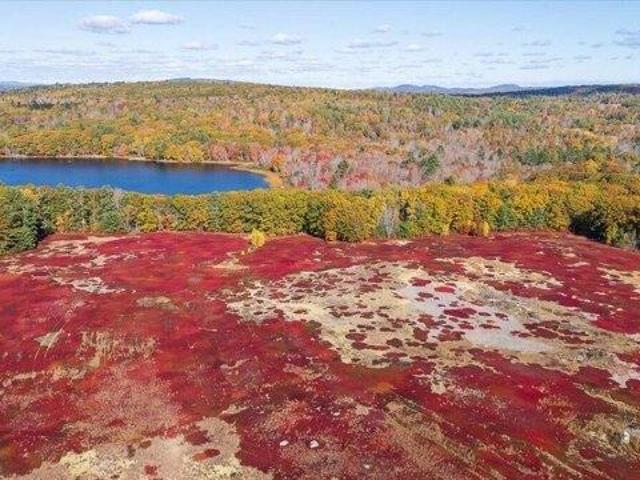 Land for sale in Waldoboro, Maine