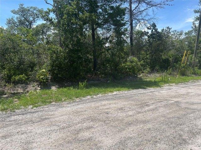 Land for sale in Orange City, Florida