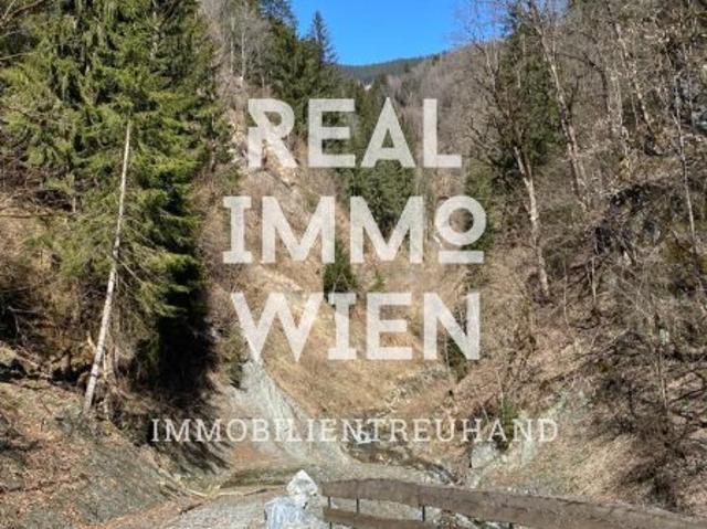 Grundstück kaufen in Taxenbach, Salzburg