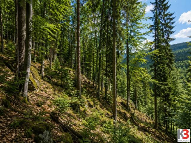 Grundstück kaufen in Keutschach, Kärnten