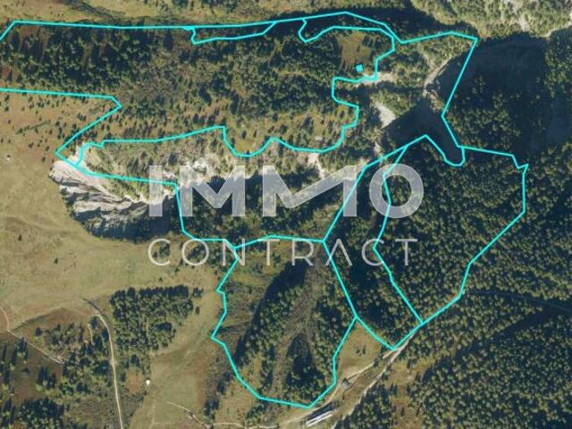 Landwirtschaft kaufen in Kals am Großglockner, Tirol