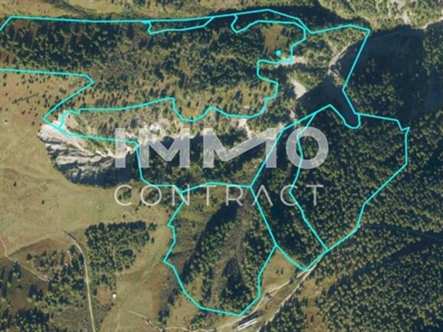 Immobilie kaufen in Kals am Großglockner, Bezirk Lienz