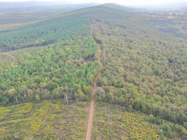 Land for sale in Waldron, Scott County
