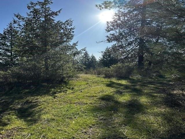 Land for sale in Chattaroy, Washington