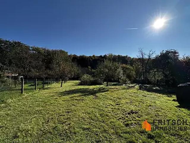 Terrain vente à Walheim, Collectivité européenne d'Alsace