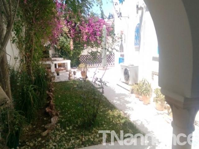 Appartement vente