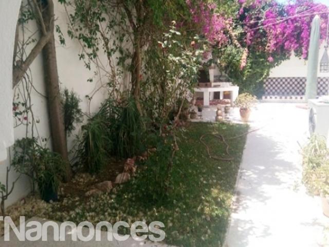 Appartement location