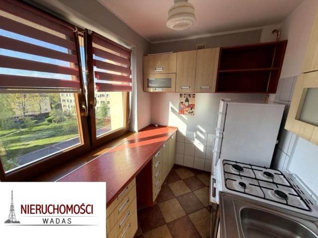 Mieszkanie do wynajęcia w Gliwice, Śląskie