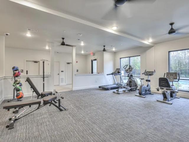 Apartment for rent in Austin, Texas