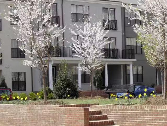 Apartment for rent in Charlottesville